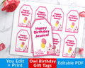 Birthday Gift Tags Editable Printable- Pink Owl