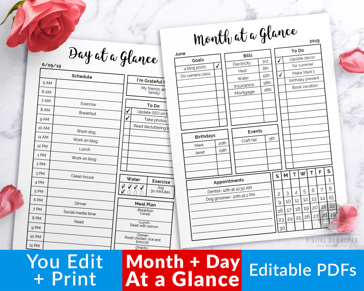 editable-month-at-a-glance-editable-day-at-a-glance-printables-the-digital-download-shop