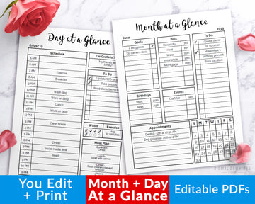 Editable Month at a Glance + Editable Day at a Glance Printables