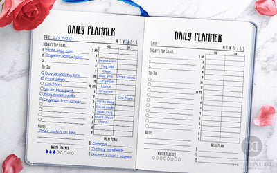 Free Printable Half Hourly Daily Planner