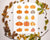 15 Pumpkins Clipart - The Digital Download Shop