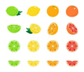 16 Citrus Fruits Clipart