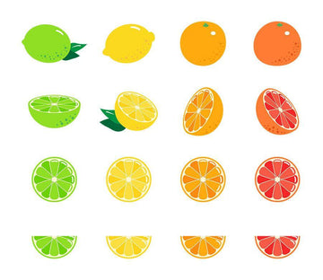 16 Citrus Fruits Clipart