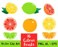 16 Citrus Fruits Clipart