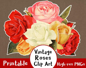 38 Vintage Roses Clipart