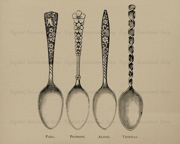 4 Spoons Vintage Image - The Digital Download Shop