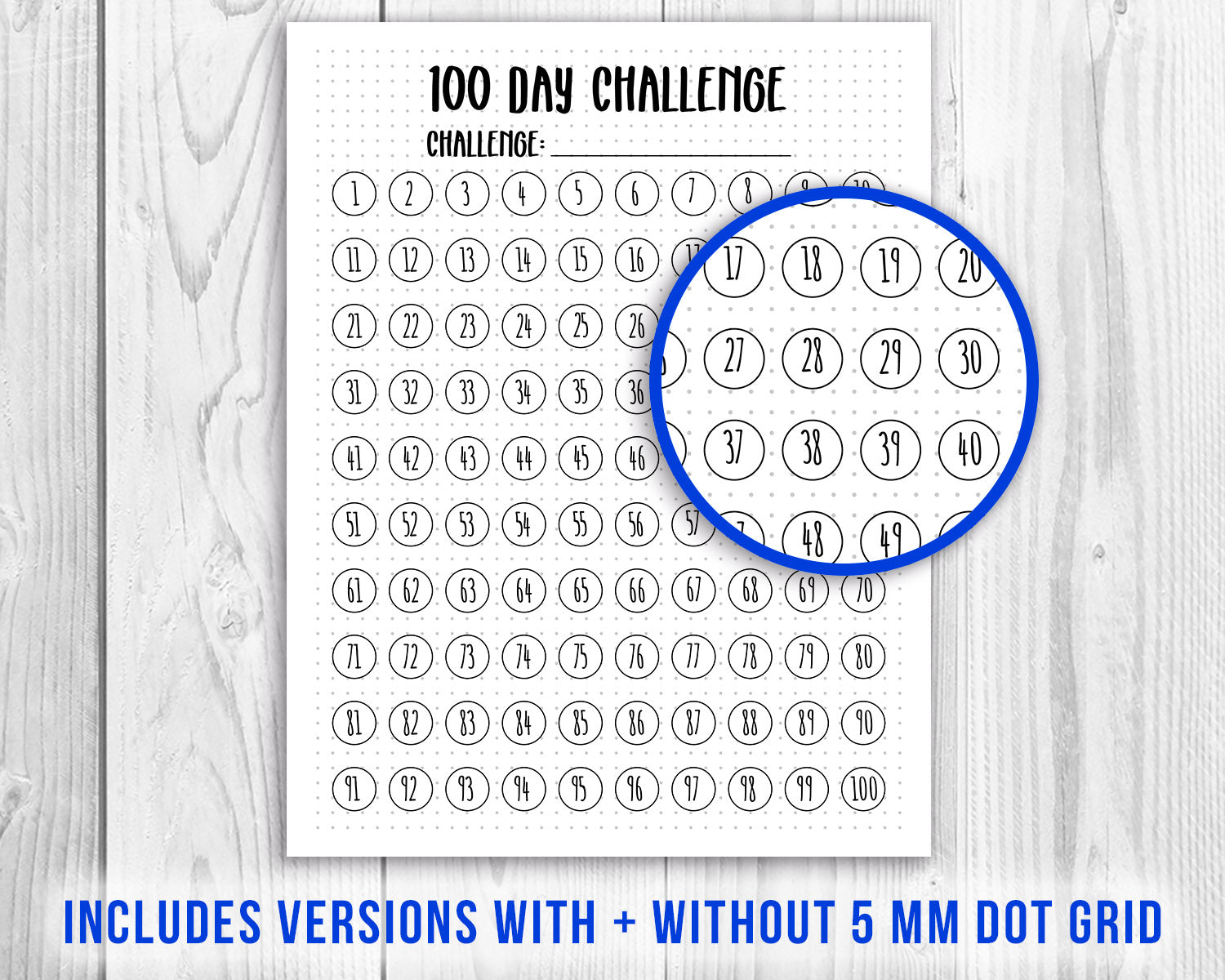 100 Day Challenge Printable | The Digital Download Shop