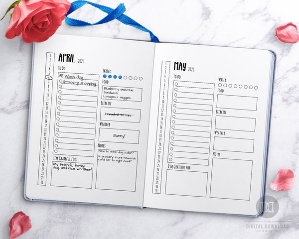 2021 + 2020 Bullet Journal Daily Log Template Printable
