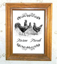 Farm Fresh Three Chickens Vintage Image - The Digital Download Shop