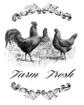 Farm Fresh Three Chickens Vintage Image