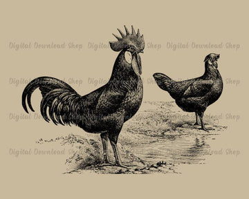 Rooster, Hen, + Lake Vintage Image