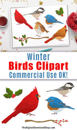 10 winter birds clipart images for personal and commercial use! This holiday clipart set includes 10 winter graphics (5 birds + 5 foliage pieces) in a detailed, realistic style. These would be lovely in wall art printables, scrapbooking projects, homemade Christmas cards, and more! | graphic design, holiday, cardinal, bluebird, #clipart #birds #DigitalDownloadShop